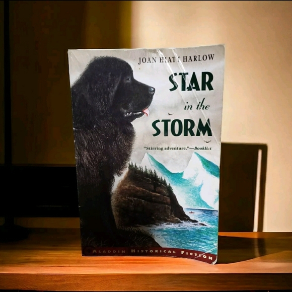 Star in the Storm by Joan Hiatt Harlow Paperback Children's Book Novel - Picture 1 of 5